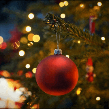 Festive Menu 2025 A5.pdf